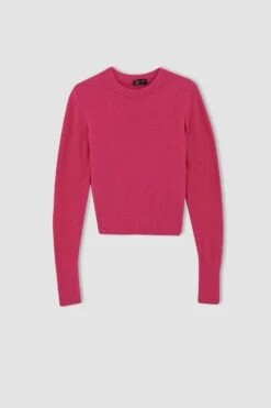 DeFacto Coool Slim Fit Bisiklet Yaka Kazak -Tunik Style U3145AZ 22AU PN219 05 01