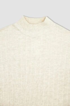 DeFacto Regular Fit Yarım Balıkçı Yaka Uzun Kollu Uzun Kollu Elbise -Tunik Style W0986AZ 22WN ER104 06 01