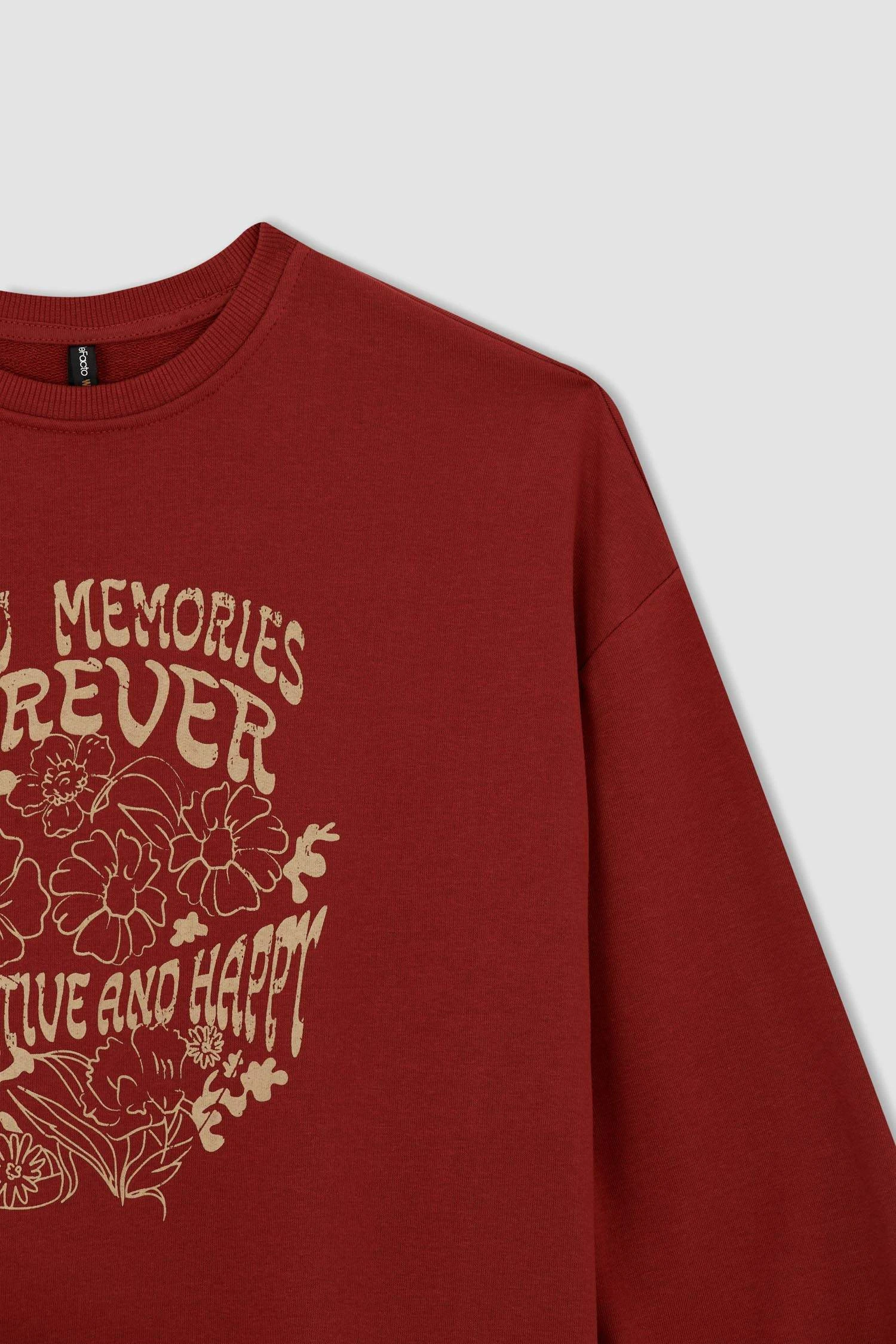 DeFacto Relax Fit Bisiklet Yaka Baskılı Sweatshirt Tunik 10 DeFacto Relax Fit Bisiklet Yaka Baskılı Sweatshirt Tunik – Bild 8