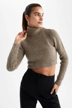 DeFacto Fitted Balıkçı Yaka Selanik Kumaş Kazak -Tunik Style Z1448AZ 22WN BN70 03 01