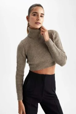 DeFacto Fitted Balıkçı Yaka Selanik Kumaş Kazak -Tunik Style Z1448AZ 22WN BN70 04 01