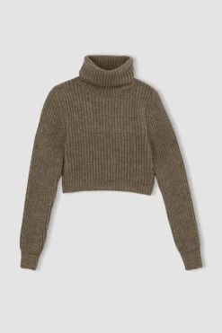 DeFacto Fitted Balıkçı Yaka Selanik Kumaş Kazak -Tunik Style Z1448AZ 22WN BN70 08 01