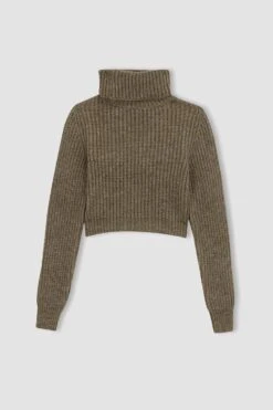 DeFacto Fitted Balıkçı Yaka Selanik Kumaş Kazak -Tunik Style Z1448AZ 22WN BN70 10 01